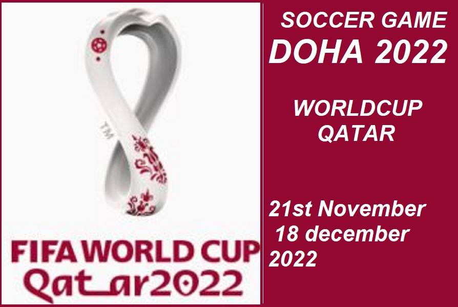 qatar soccer worldcup dieulois