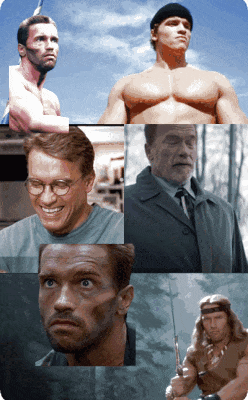 schwarzenegger dieulois