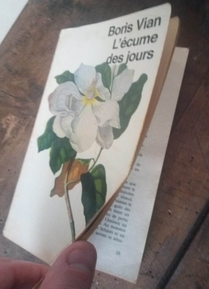 boris vian 1920 2020 dieulois