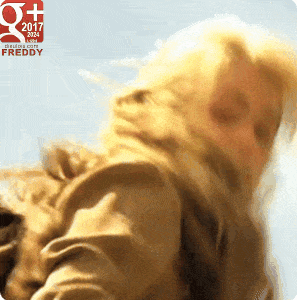 beart manon des sources dieulois