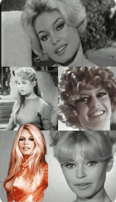 BRIGITTE BARDOT dieulois