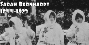 Sarah Bernhardt dieulois