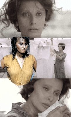 sophia loren dieulois