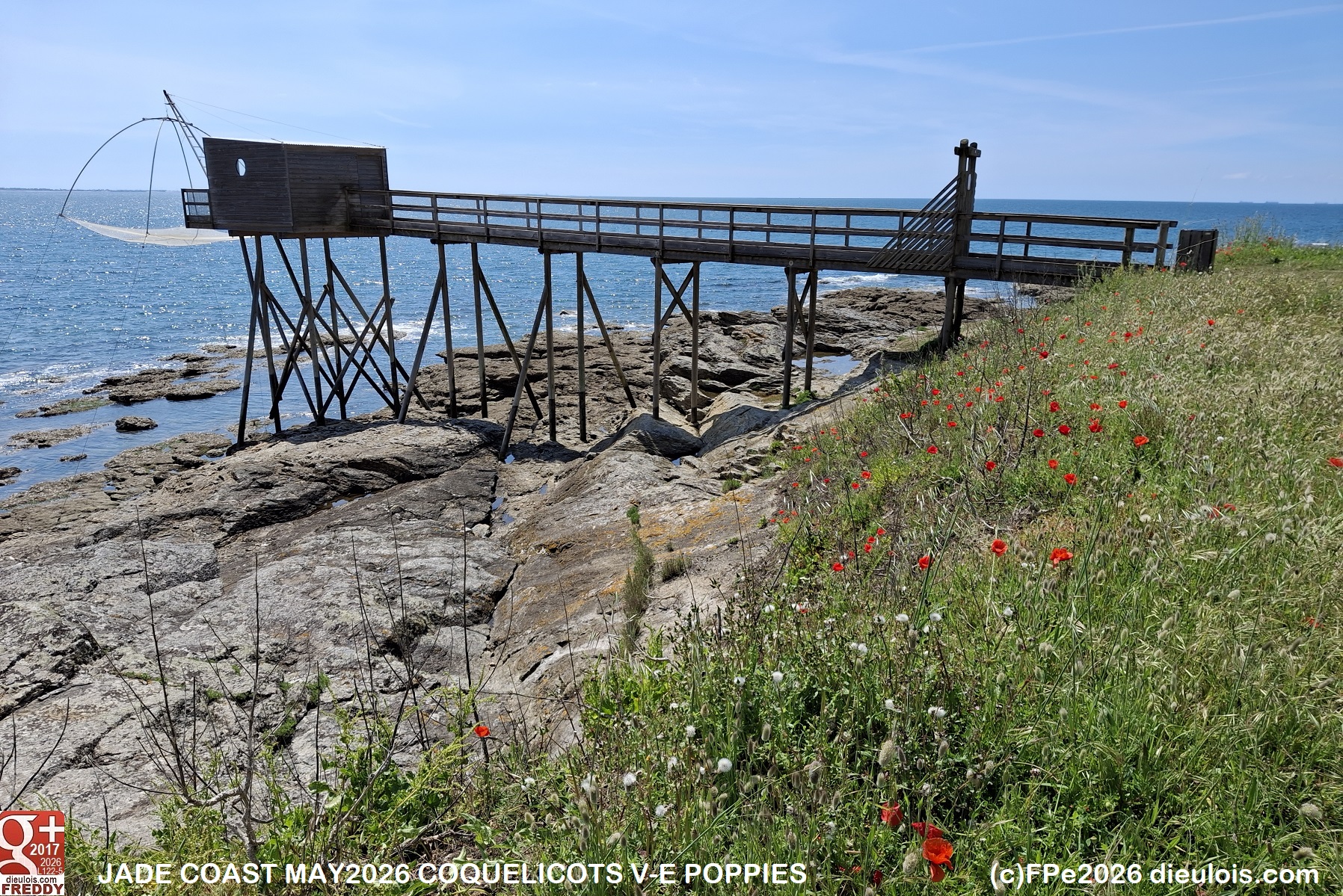 Jade coast Retz Loire atlantique dieulois
