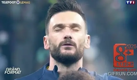 FIFA dieulois hugo lloris