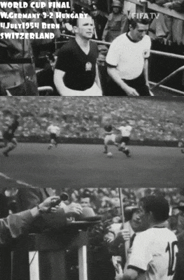 worldcup 1954 dieulois