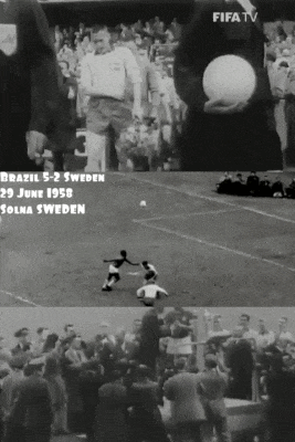 worldcup 1958 dieulois