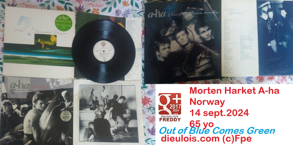 aha dieulois morten harket