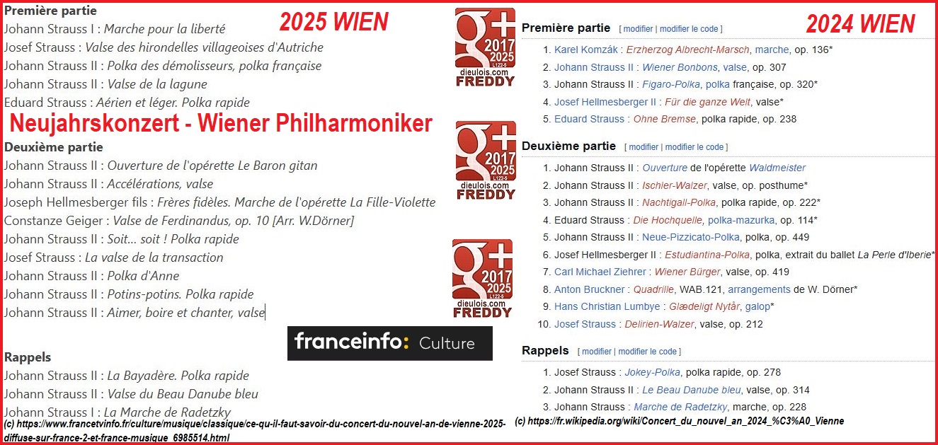 NeuJahrsKonzert Wien dieulois