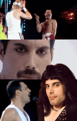 FREDDIE by FREDDY dieulois