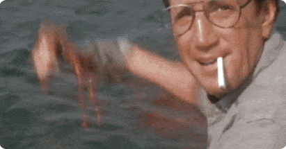 JAWS-Spielberg roy scheider