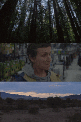 frances McDormand dieulois