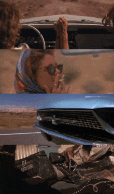 thelma louise susan sarandon dieulois