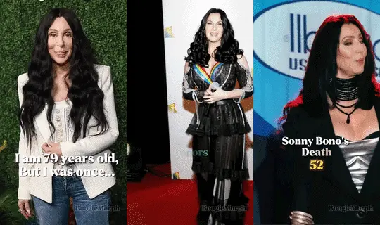 cher singer dieulois