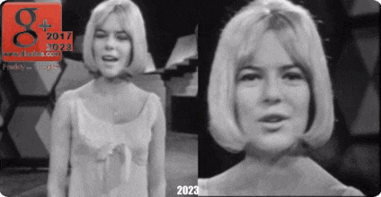 France gall dieulois poupée